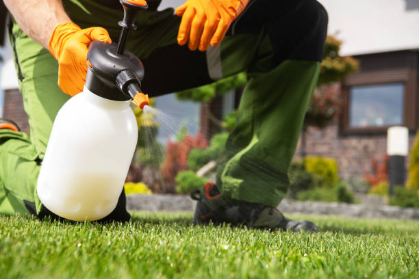 Professional Pest Control in Mount Holly Springs, PA