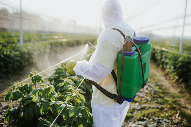 Wasp Removal Services in Mount Holly Springs, PA